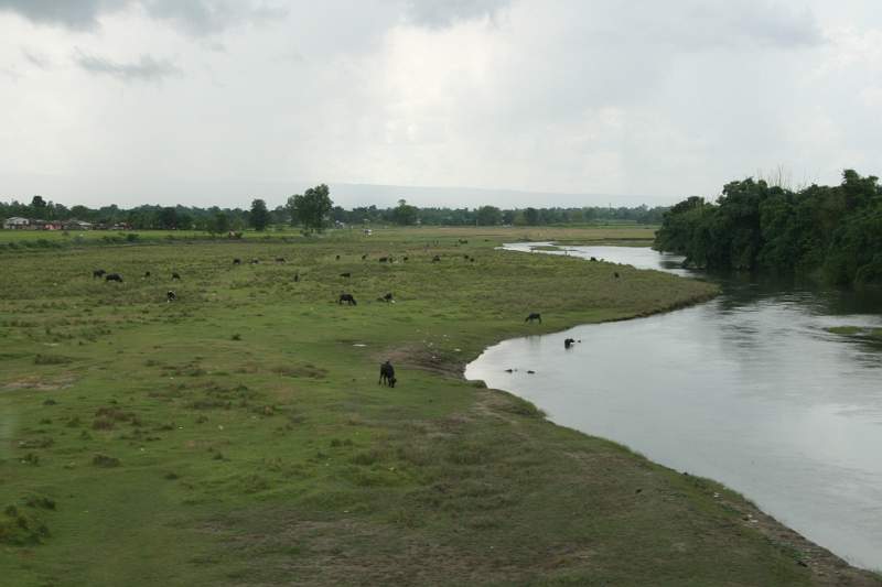 India & Nepal 2011 - 0523